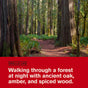 A forest path winds among ancient oaks and green ferns. Text overlay describes the scent—oak, amber, spiced wood—in Every Man Jack Hydrating Body Wash for Men, crafted with naturally-derived ingredients.