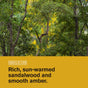 A lush, green forest with sunlight filtering through the trees, and a yellow banner at the bottom reading: SMELLS LIKE rich sandalwood and smooth amber—Hydrating Body Wash for Men by Every Man Jack with naturally-derived ingredients.
