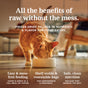 A ginger cat enjoys Feline Natural Grain-Free, Freeze-Dried Cat Food from a white bowl on a wooden floor—offering raw nutrition from New Zealand in shelf-stable, resealable bags for easy, clean feeding.