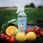 A bottle of Rebel Green Fruit & Veggie Clean Produce Wash Spray rests on a tray with fresh lemons, strawberries, orange, and leafy greens outdoors, ready to naturally remove pesticides from your produce.