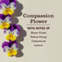 A vertical row of purple, yellow, and white pansies on beige. Text: Mrs. Meyer's Fabric Freshener Spray—Compassion Flower—with Sheer Violet, Yellow Pansy, Cedarwood & Lemon notes for a long-lasting scent.