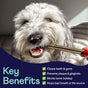 A fluffy white and gray dog is being given a dental chew stick. Text highlights key benefits: cleans teeth and gums, prevents plaque and gingivitis, blocks tartar buildup, and stops bad breath at the source.