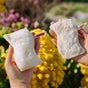 Two hands hold white, textured Luffa Fiber Kitchen Sponges from Floofah, each crafted with visible plant-based fibers and tagged with the Floofah brand. In the blurred background, yellow flowers and greenery add a natural touch.