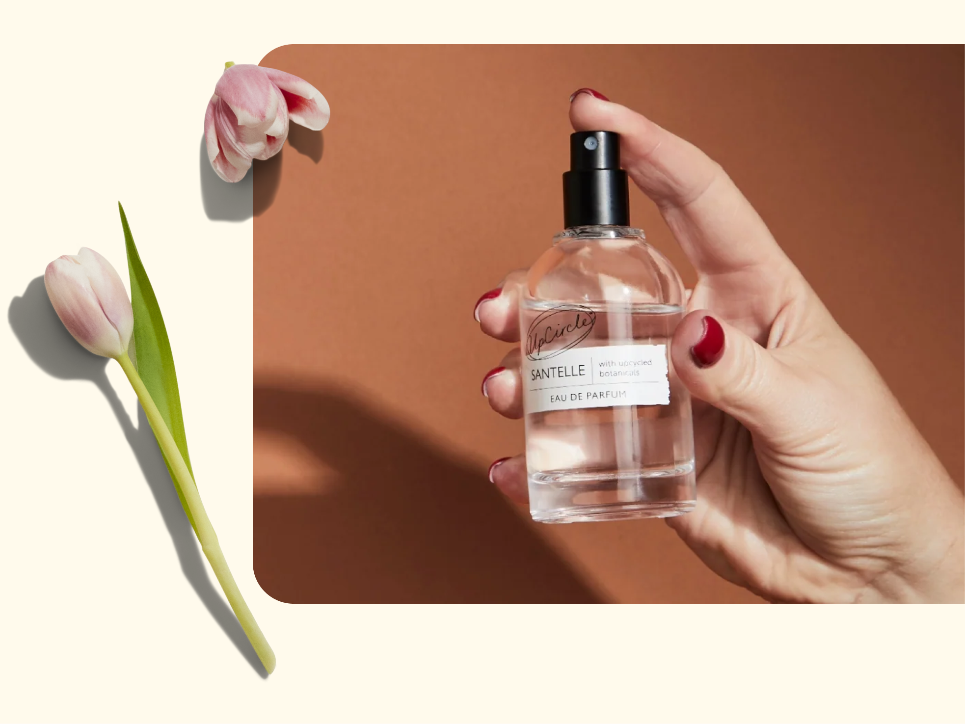 A hand with red-painted nails holds a clear perfume bottle labeled “SANTELLE” against a brown background; two pink tulips rest on a light-colored surface beside the image.