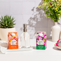 A glass soap dispenser on a tray sits between two Grove Co. The Spring Clean Essentials Set - Summer Collection cartons, surrounded by a potted succulent, floral vase, and halved dragon fruit on a white counter.