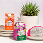 Two vibrant cartons of Grove Co.'s The Spring Clean Essentials Set - Summer Collection are displayed on stacked white plates beside a potted succulent and halved dragon fruit, set against a backdrop of white tiles.