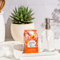 A carton of Grove Co. Hand Soap Refill - Summer Collection sits on a tray beside a clear soap dispenser, a white towel, and a potted succulent in a white ceramic pot.