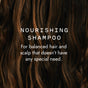 Close-up of wavy brown hair with text: Good Juju Body & Home Nourishing Shampoo Bar for Balanced/Normal Hair. Made with all-natural ingredients, it keeps normal hair and scalp balanced—perfect for everyday care.