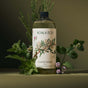 A Koala Eco Hand Wash Refill bottle is surrounded by fresh mint, rosemary, and herbs on a muted green background. The label displays elegant botanical illustrations.