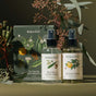 The Koala Eco Aromatherapy Duo, featuring bottles with botanical designs, is displayed on a green surface with eucalyptus branches. The set includes "Pillow & Linen Spray" and "Room Spray," inspired by fragrant botanicals.