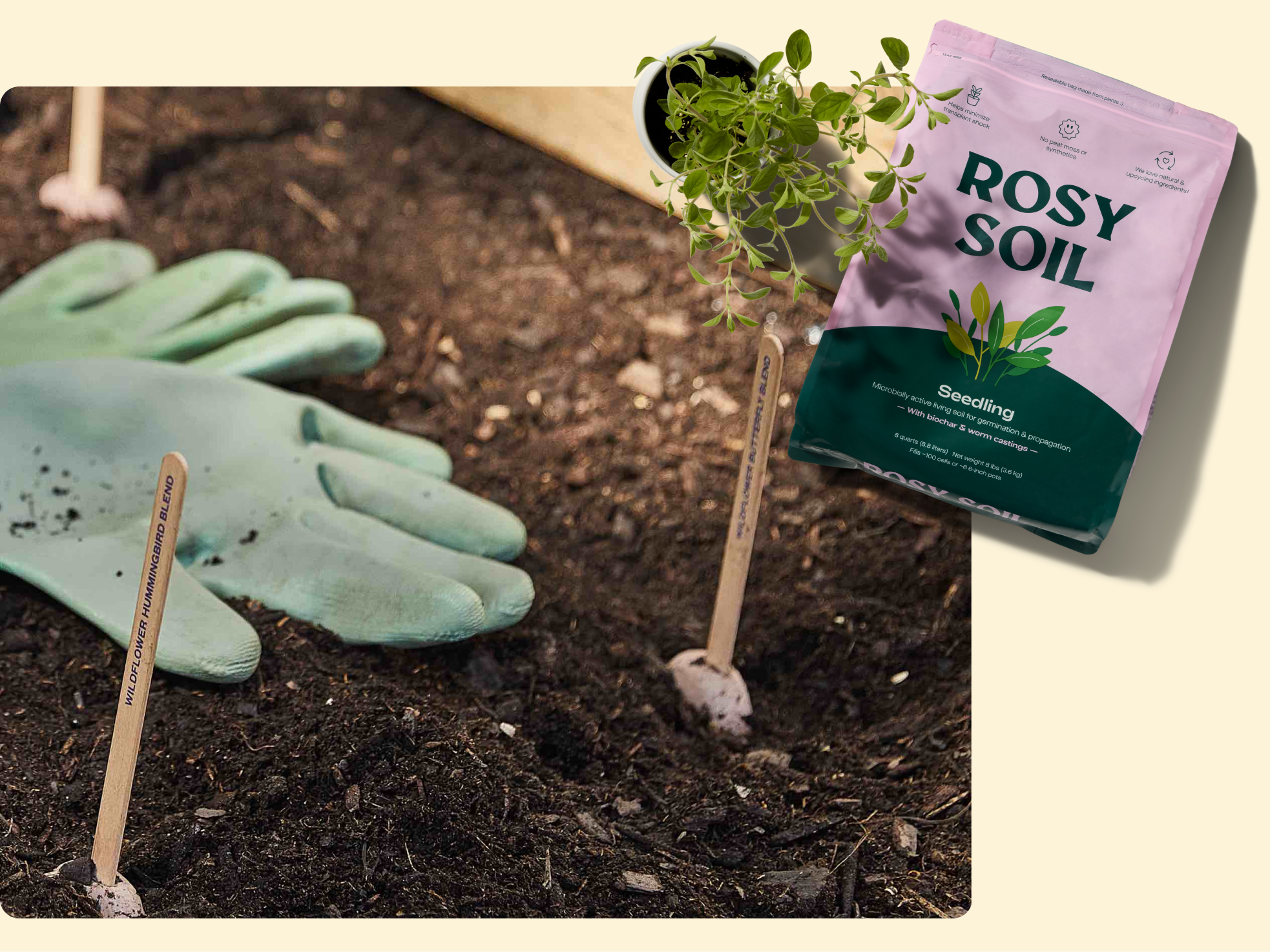 A pair of green gardening gloves, wooden plant markers, and a bag of Rosy Soil seedling mix are placed on dark soil, with a small green plant nearby.