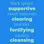 Blue background with words in various font sizes: black spruce, supportive, sweet marjoram, clearing, lavender, fortifying, rosalina, cleansing—all thoughtfully chosen to evoke Plant Therapy’s Germ Destroyer Roll-On Essential Oil Blend focused on immune support and respiratory health.
