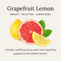 Whole and sliced lemon and grapefruit with green leaves are shown. Text: Grapefruit Lemon. Bright • Uplifting • Energizing. Little Seed Farm Deodorant Creams feature this energizing citrus scent in an aluminum free formula.