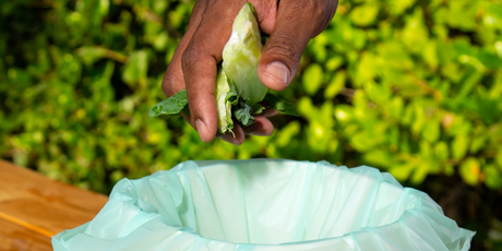 How to: start composting