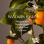 A branch with green leaves, white flowers, and ripe mandarins. Overlaid text reads: HOMECORT Dish Soap—fragrance-forward with mandarin peel, Nigerian ginger, Egyptian basil & fig leaves; made using plant-derived surfactants.