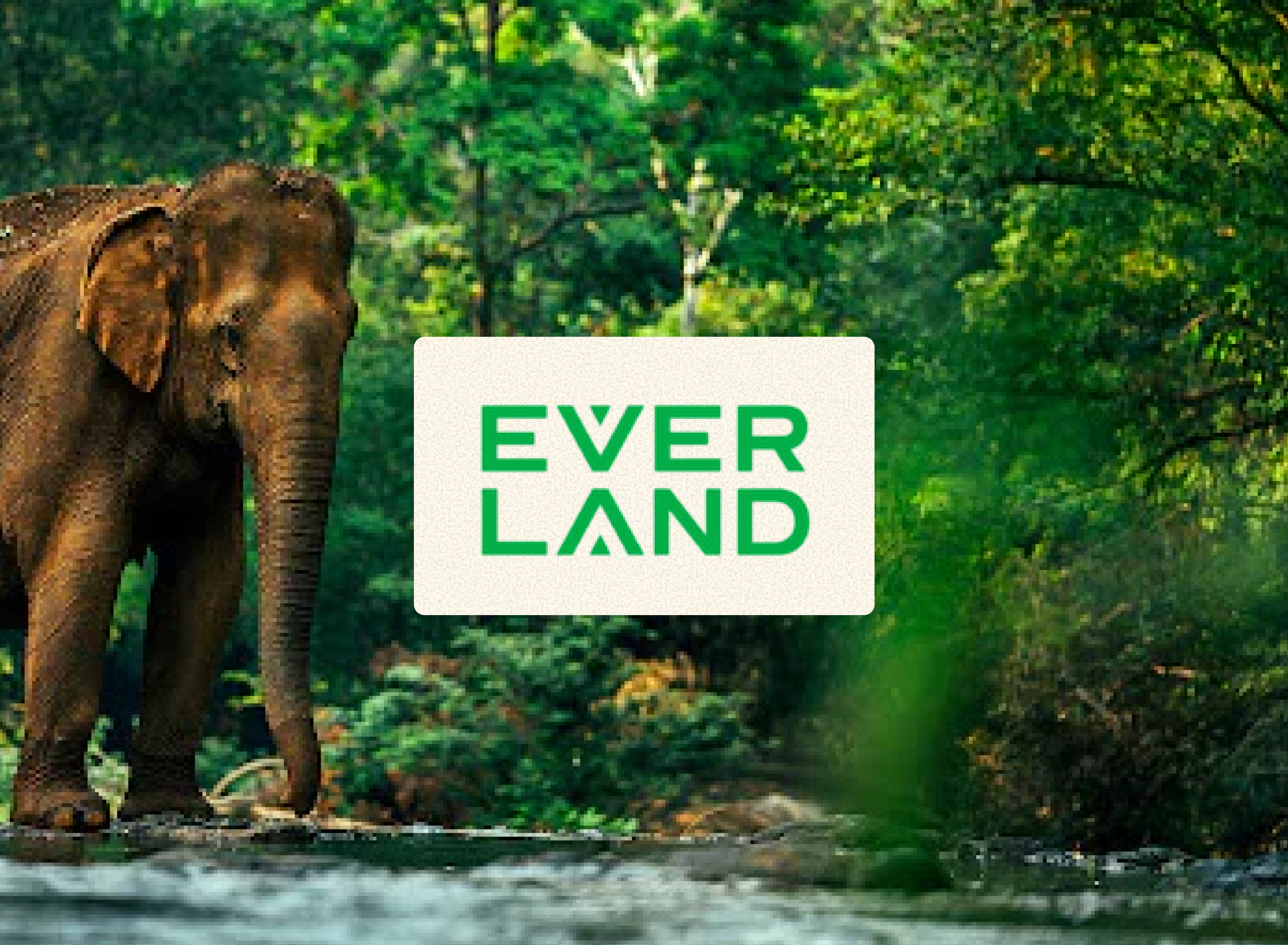 Elephant walking through water with 'Everland' logo in a forest setting