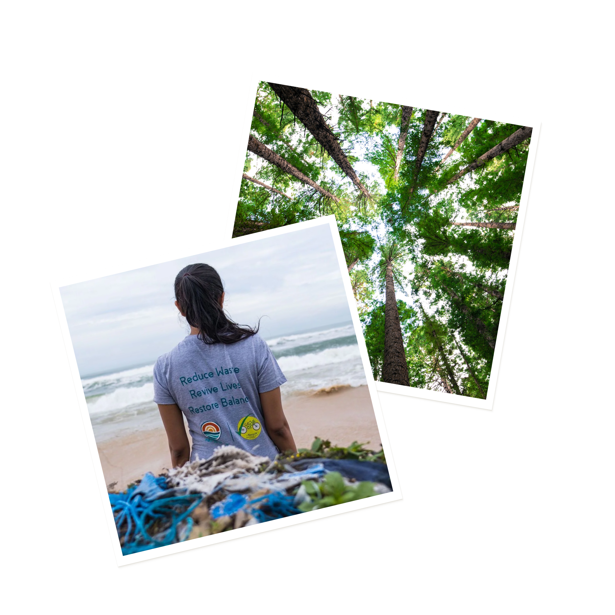 Two photos: one looking up at tall green trees against the sky, the other showing a person on a beach, facing the ocean, surrounded by collected trash, wearing a shirt that reads, Reduce Waste, Revive Lives, Restore Balance.