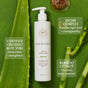 I Create Curl Memory - Sample white pump bottle of curly hair styling gel surrounded by an aloe leaf, bamboo stalks, and a drop of honey, with text labels describing the ingredients and their benefits.