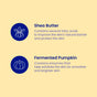 Graphic with simple line icons and descriptions: Shea Butter—boosts skin barrier for deep hydration; Fermented Pumpkin—gently exfoliates for smooth, bright feet. Highlights FaceTory Silky Feet Softening Foot Mask’s nourishing ingredients.