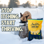A dog eats from a bowl in the snow, with a bag of Jiminy's Good Grub Dry Dog Food, Allergy Relief, Healthy Skin & Coat by Jiminy's in the foreground. Large text says: Stop itching. Start thriving.