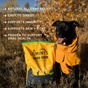 A black dog in a yellow raincoat sits by a bag of Jiminy's Good Grub Dry Dog Food for allergy relief and healthy skin & coat. Five health benefits are highlighted. Autumn leaves and sunlight fill the outdoor scene.