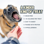 A happy dog opens its mouth as someone offers a Jiminy’s Crunchy Peanut Butter & Blueberry Cricket Dog Treat. Text highlights: grain-free, hypoallergenic, under 10 calories, protein-rich, and easy to digest.