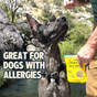 A dark brindle dog looks up at a person holding a bag of Jiminy's Crunchy Peanut Butter & Blueberry Cricket Dog Treat by a stream. Text on the image reads, “Great for dogs with allergies.”.