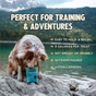 A dog sits by a lake with mountains, holding a blue bag of Jiminy's Chewy Peanut Butter & Cranberry Training Treats—hypoallergenic, nutrient-packed, low-calorie treats that are easy to hold and allergy-friendly.
