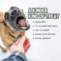 A person offers Jiminy’s Crunchy Original Cricket Dog Treat to a happy dog. Text: “A kinder kind of treat”—grain-free, under 10 calories, easy to digest, high protein from crickets, and hypoallergenic.