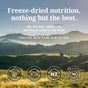 Text over green hills: K9 Natural Dog Food - Grain-Free, Freeze-Dried. No fillers, GMOs, or artificial additives—only the best. Crafted with care in NZ. Icon badges show grass-fed, sustainable New Zealand ingredients.