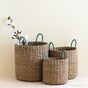 A nested set of three LIKHA Seagrass Cylinder Baskets with sky blue handles is displayed on a beige background; the largest basket holds cotton stems, while the other two are empty.
