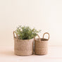 The LIKHA Abaca Cylinder Tabletop Baskets with Handles, a nested set of 2, rest on a light wood surface; the larger holds a leafy plant while the smaller is empty against a plain cream background.