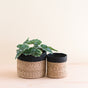 Two LIKHA Abaca Cylinder Tabletop Baskets, a nested set of 2, sit on a light wooden surface; the larger basket holds a leafy green plant, and the smaller one is empty. Both feature black tops and are Fair Trade Federation certified.