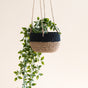 The LIKHA Abaca Round Hanging Planter, handwoven from abaca fiber in black and natural tones, holds a trailing green plant and hangs by sturdy ropes against a beige background.