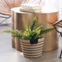 A potted fern in a LIKHA Abaca Tapered Basket, ethically handcrafted from Manila Hemp Fiber, sits on the floor next to a round metallic side table with stacked books. Modern rattan chairs are partially visible in the background.