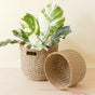 The LIKHA Abaca Round Bottom Basket, nested set of 2, is shown on a light surface. One basket holds green and white variegated leaves; the other lies empty on its side against a soft beige background.