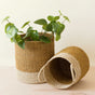 The LIKHA Abaca Cylinder Baskets with handles, set of 2, sit on a light wooden surface; one upright holds a green plant, the other lies empty, highlighting their artisan beige and brown Manila hemp bands.