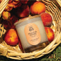 The Summer Signature Candle by Pacha Soap Co. sits in a woven basket among fresh peaches, bathed in sunlight with green grass showing below, evoking a bright, nature-inspired atmosphere.