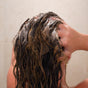 A person massages the Chagrin Valley Soap & Salve Natural Shampoo Bar, infused with organic coconut milk, into their wet brown hair, creating a rich lather against a neutral bathroom background.
