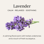 A sprig of purple lavender is centered on a light background. Text above: Lavender: Calm, Relaxed, Soothing. Below: A calming floral scent with herbal notes—perfect for Little Seed Farm Deodorant Creams with fresh eucalyptus.