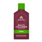 A single-serve 30 mL (1 fl oz) packet of Ancient Nutrition Multi Collagen Protein Gel Packs in lime flavor features a multi collagen complex for joint support, packaged in maroon with green accents and white text.