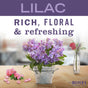 A metal pot of blooming lilacs sits on a table, with 