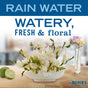 White flowers in a vase sit on a wooden table with limes, while another vase displays vibrant blooms. The text reads RAIN WATER, WATERY, FRESH & floral, promoting Mrs. Meyers Room Freshener made with essential oils for a calming atmosphere.