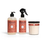 The Mrs. Meyer's Home for the Holidays Set includes a hand soap with pump, room freshener spray, and candle—each in orange “Gingerbread” scent labels with decorative leaves, displayed on a white background.
