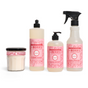 The Mrs. Meyer's Festive Freshness Set includes a peppermint candle in a glass jar, dish soap and hand soap with pumps, and a multi-surface spray, all arranged in a row on a white background.