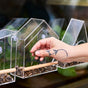 A hand with a vine tattoo places seeds into a clear acrylic Modern Sprout Window Bird Feeder attached to a window, with sunflower seeds visible inside this modern feeder.