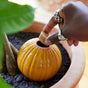 A hand with silver rings places a cork into the opening of a round, yellow glazed Modern Sprout Watering Bulb, set in the soil of a potted plant to provide consistent hydration.