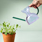 A hand pours water from the Modern Sprout Handcrafted Borosilicate Glass Watering Can onto a leafy green plant in a terracotta pot, set against a plain light green background.