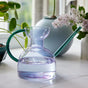 The Modern Sprout Handcrafted Borosilicate Glass Watering Can, featuring a green handle and spout, rests on a white surface near potted plants and flower vases by a window.