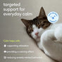 A tabby and white cat sleeps peacefully next to Native Pet Calming Supplement for Cats, a non-drowsy formula that supports everyday calm, relaxation, and the reduction of anxiety-related behaviors.